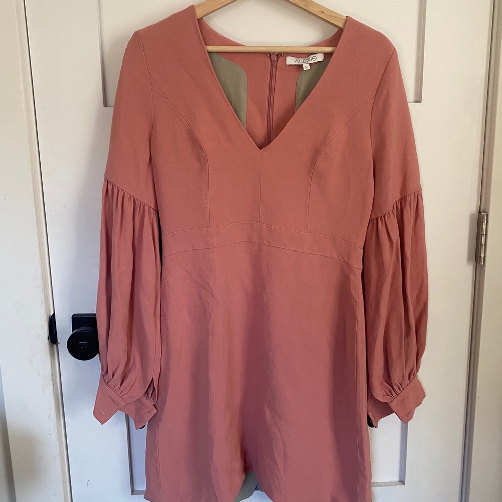 Alexis Bubble Sleeve Dress